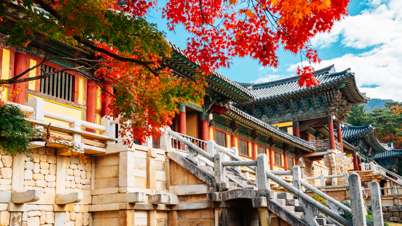 Alberto Toshio Murakami revela como explorar o Japão pelas rotas tradicionais aproveitando o conforto do Shinkansen.