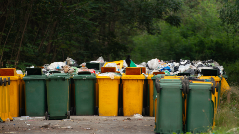 Odair José Mannrich