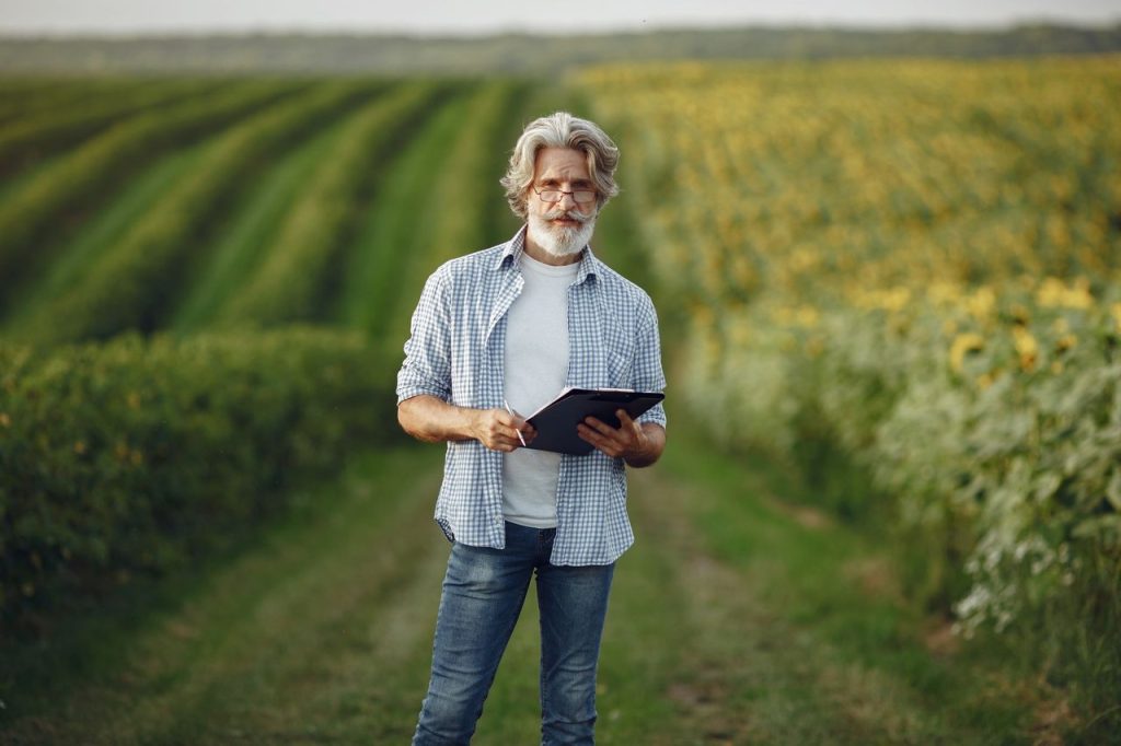 Produtor rural consulta um tablet em meio a uma lavoura de girassóis.